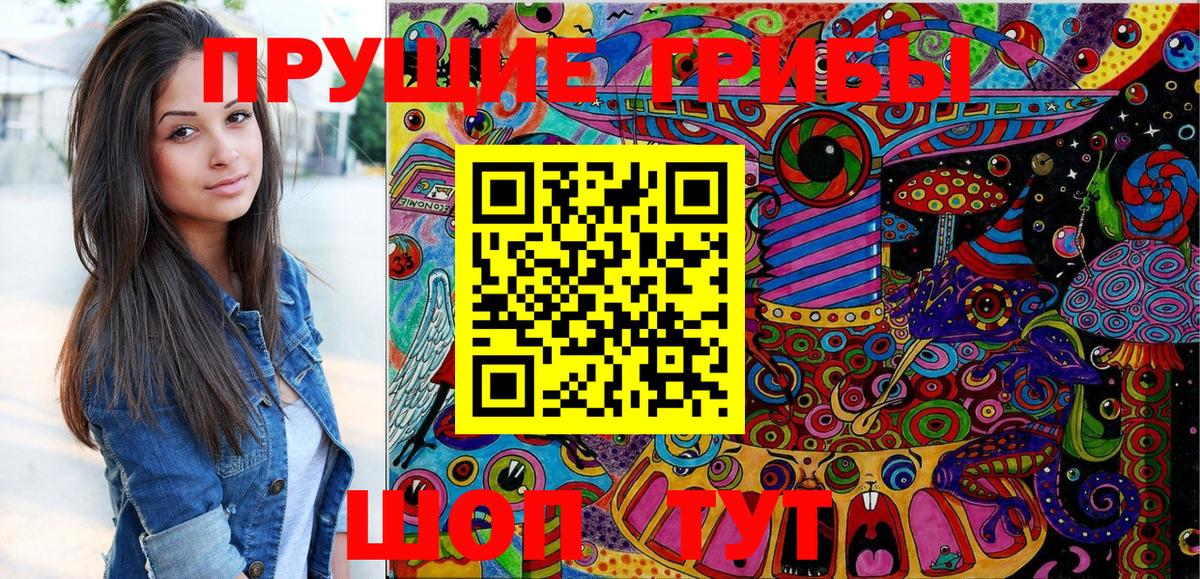 Псилоцибиновые грибы Psilocybe  Вход с VPN  Гудермес 