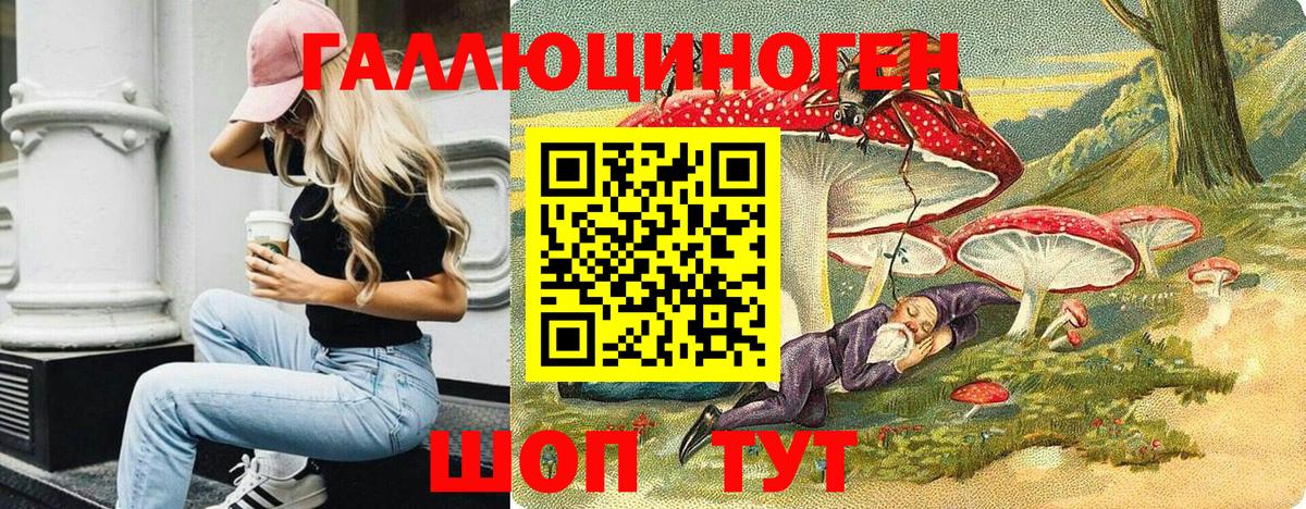 Псилоцибиновые грибы ЛСД Гудермес